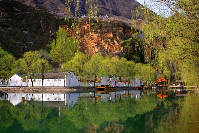 滴水壺春色 滴水壺春色