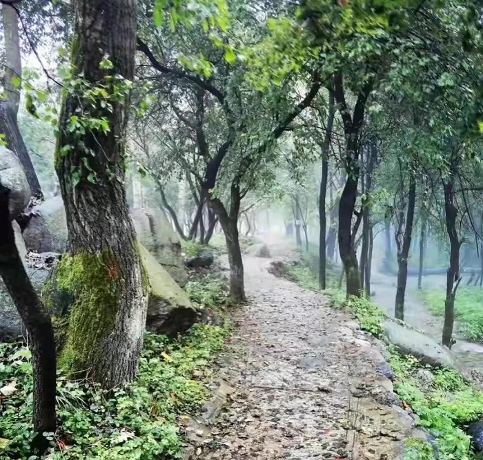 玉渡山風景區 玉渡山風景區