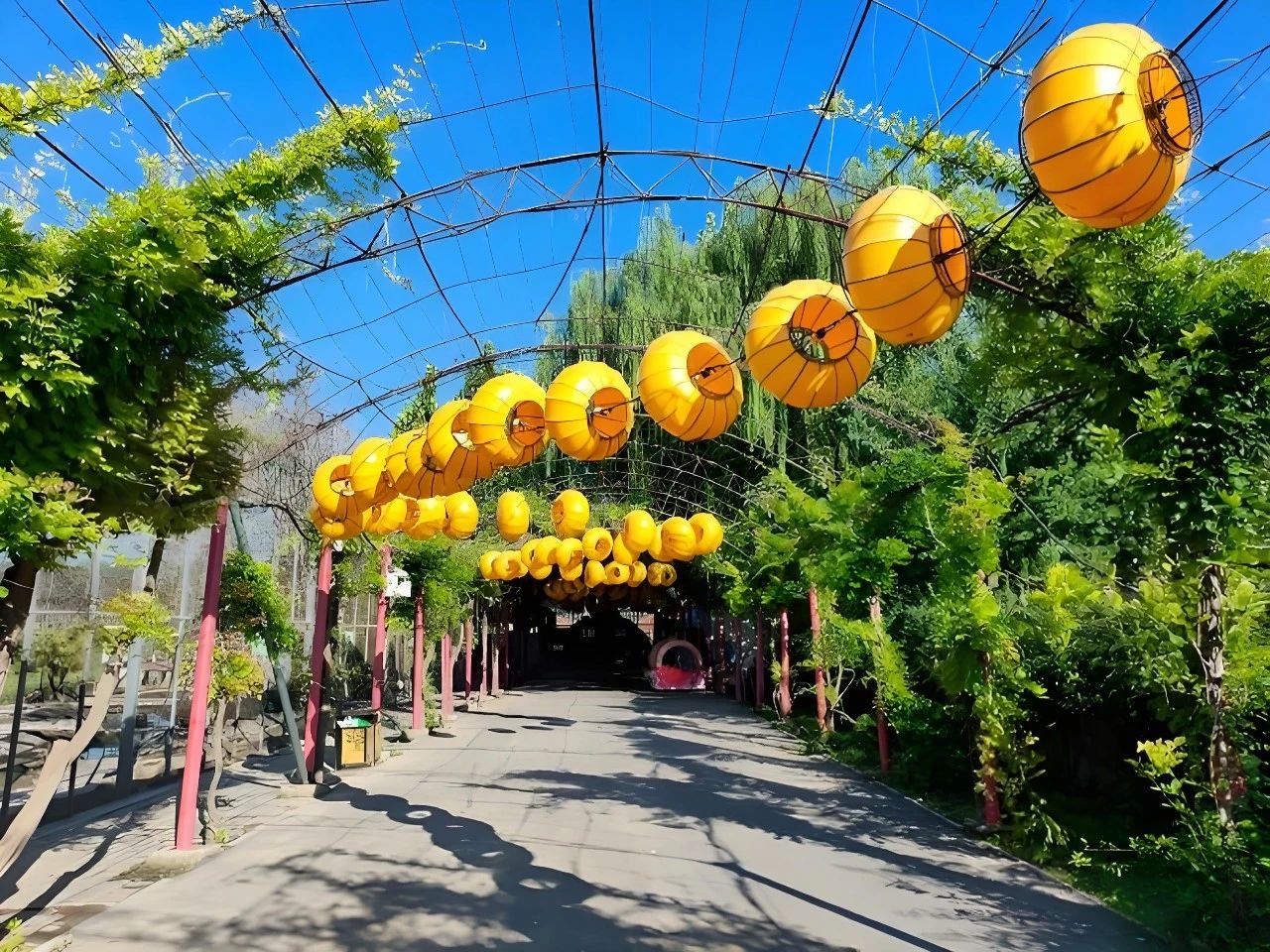 北京推出七條特色鄉村旅遊線路