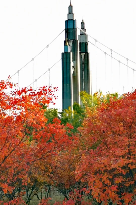 初秋→深秋，昌平這7條賞秋線路必衝