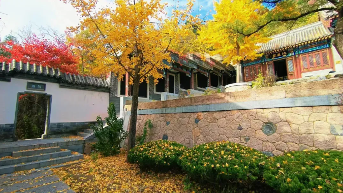 初秋→深秋，昌平這7條賞秋線路必衝