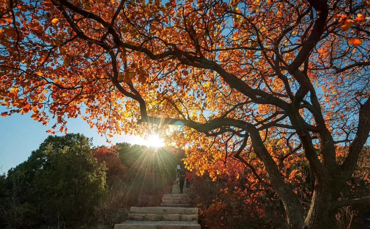 秋日宜登高 寶藏登山賞秋路線推薦 秋日宜登高 寶藏登山賞秋路線推薦