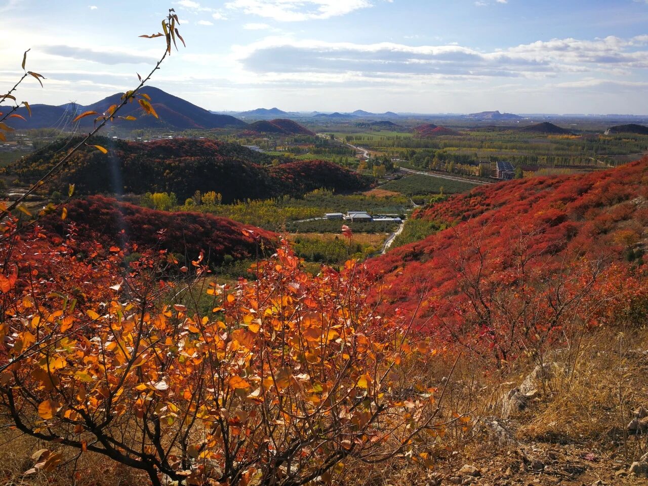 順義秋日精品線 從銀杏到淺山的斑斕之旅 順義秋日精品線 從銀杏到淺山的斑斕之旅