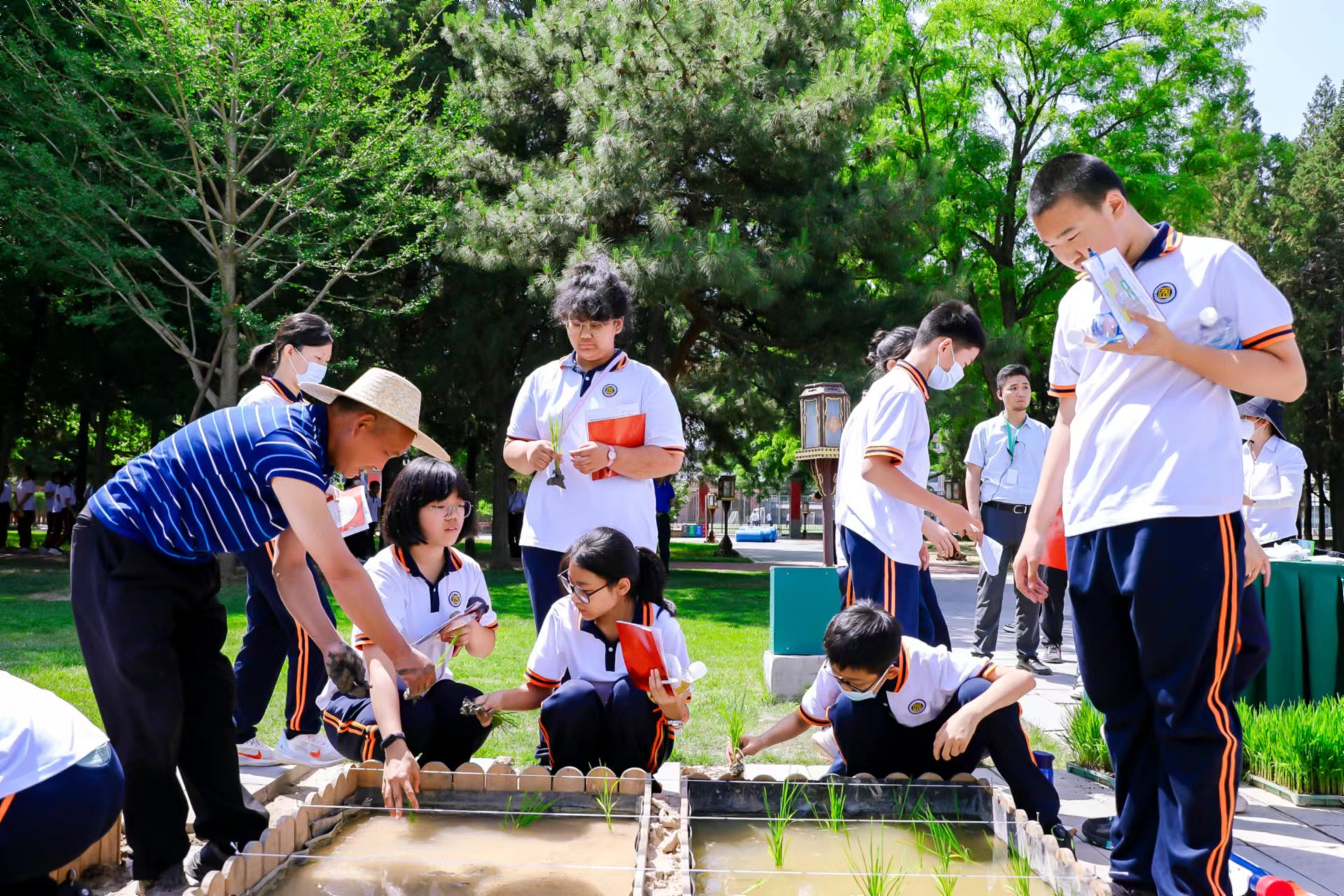 融入課程，開展糧食安全的學習實踐體驗