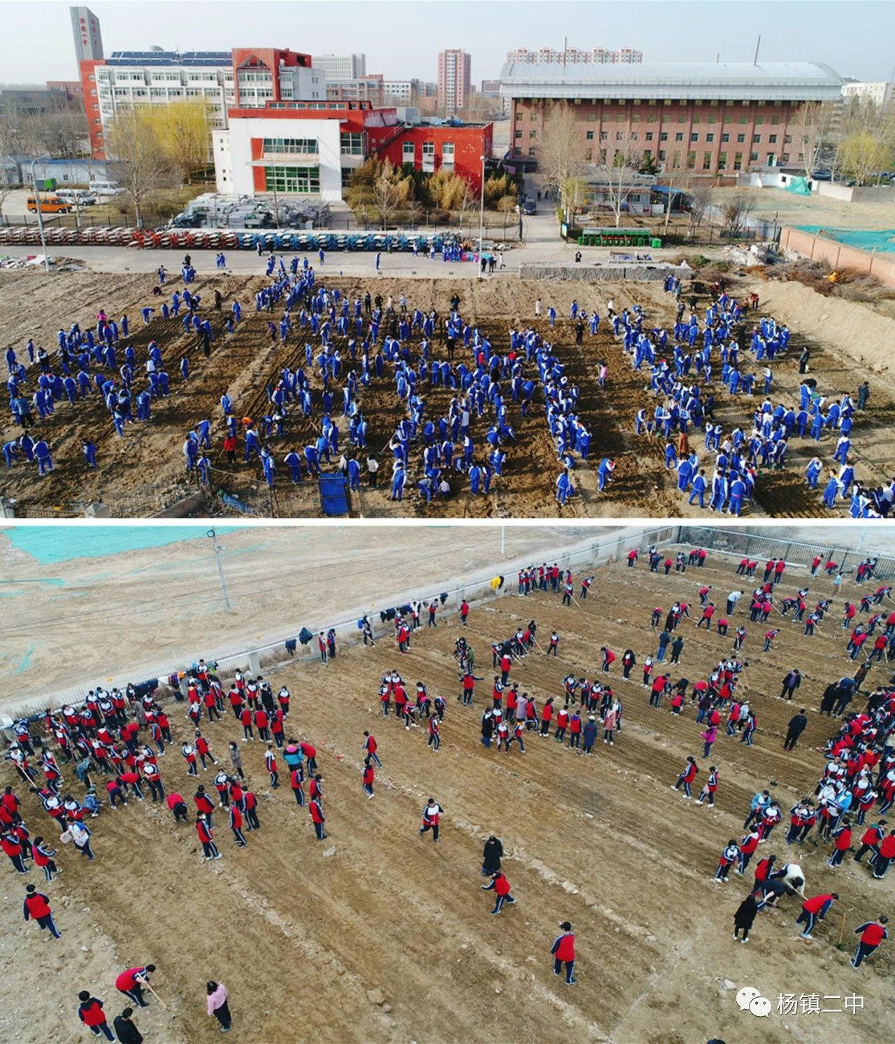 多種方式開展活動