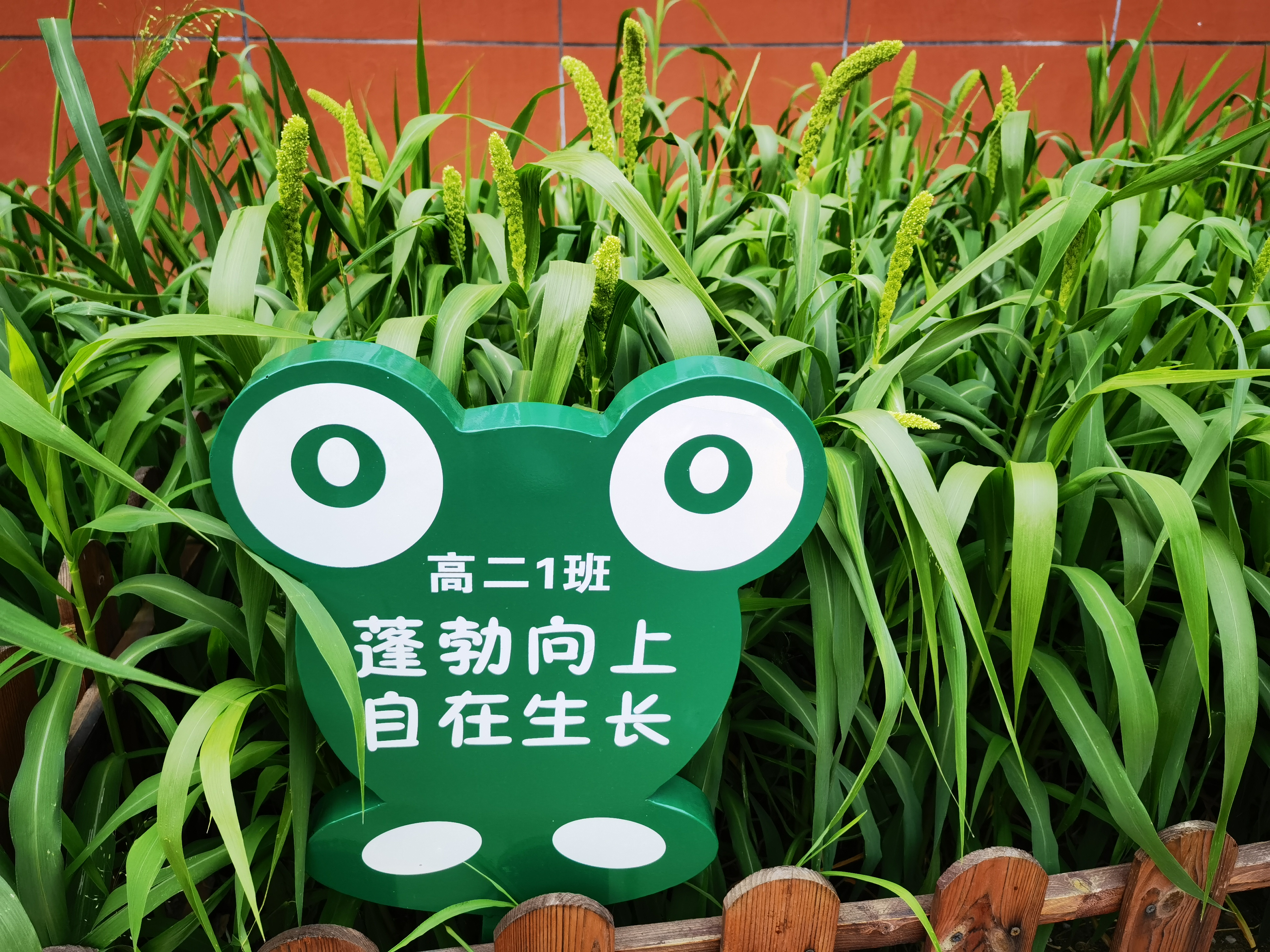 敬農——實踐育人促進知行合一