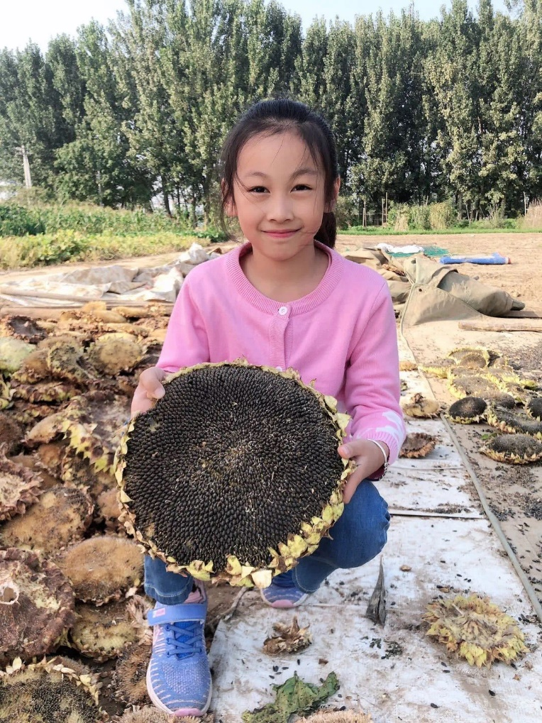 勞動體驗，切身體會