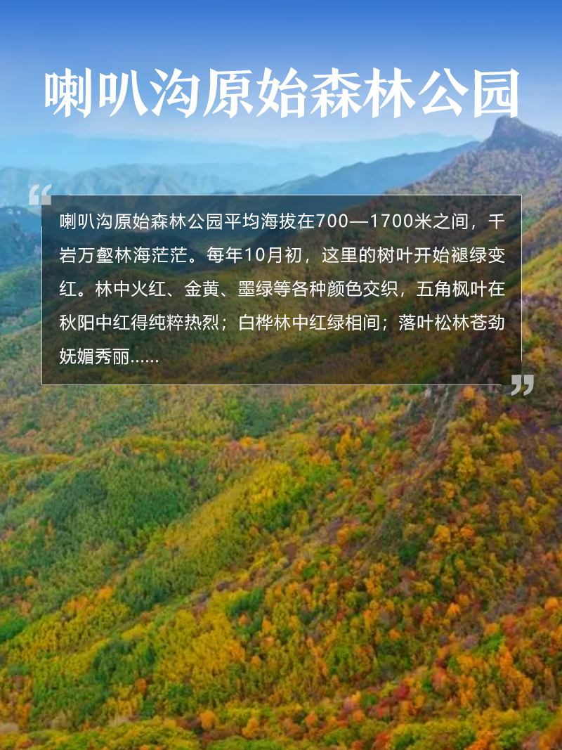 喇叭溝原始森林公園