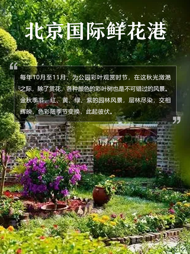 北京國際鮮花港