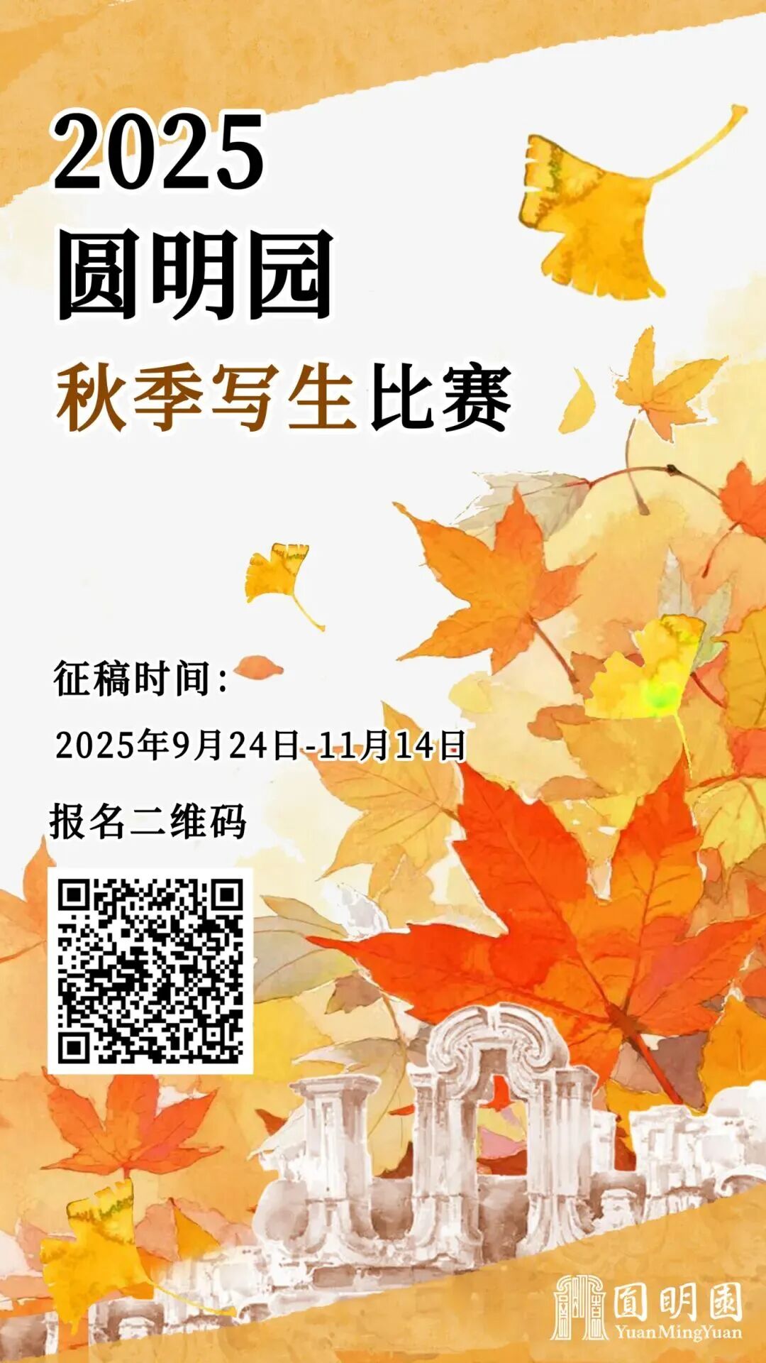 秋景“天花板” 北京這些銀杏大道即將迎來最佳觀賞期