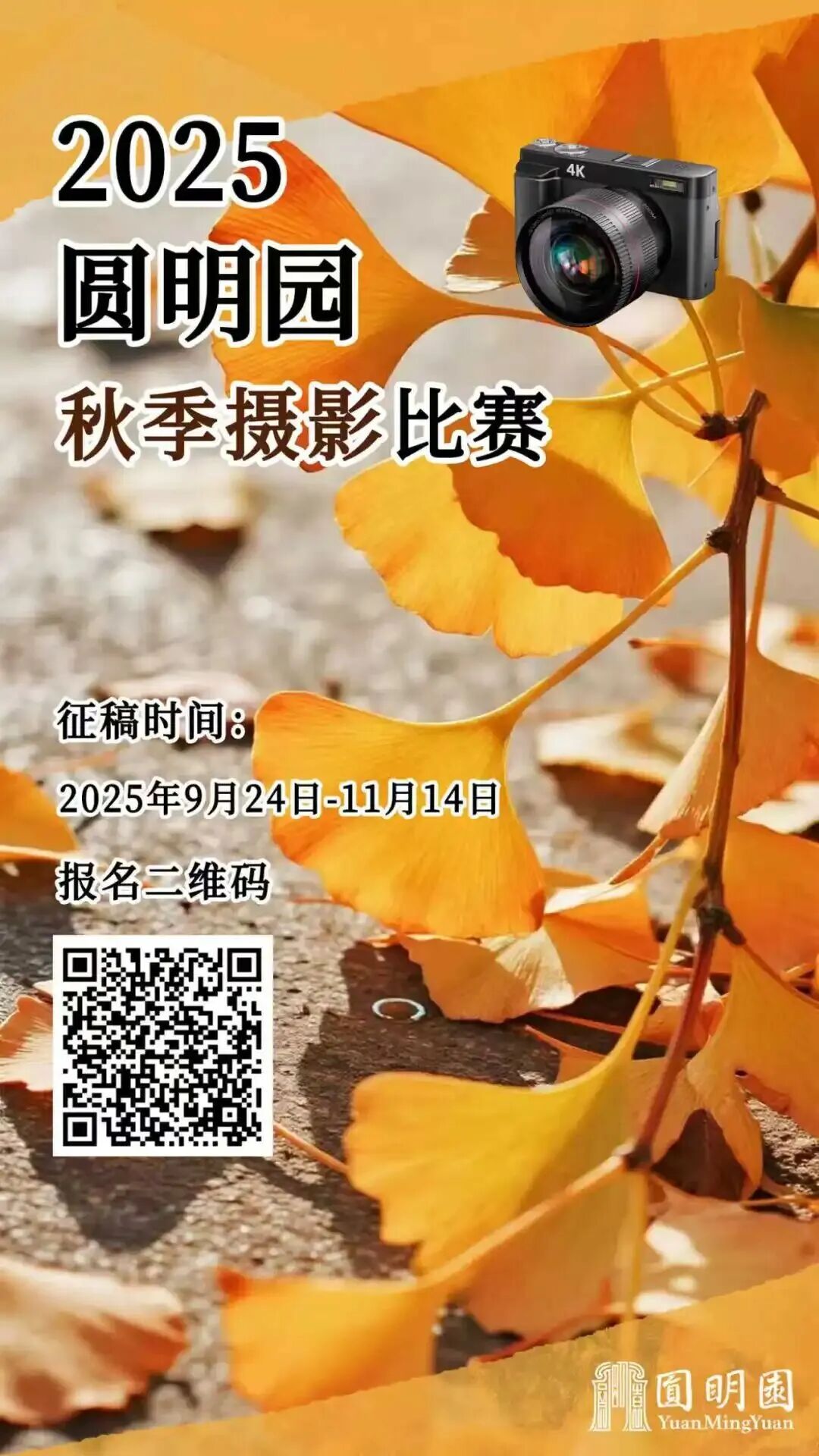 秋景“天花板” 北京這些銀杏大道即將迎來最佳觀賞期