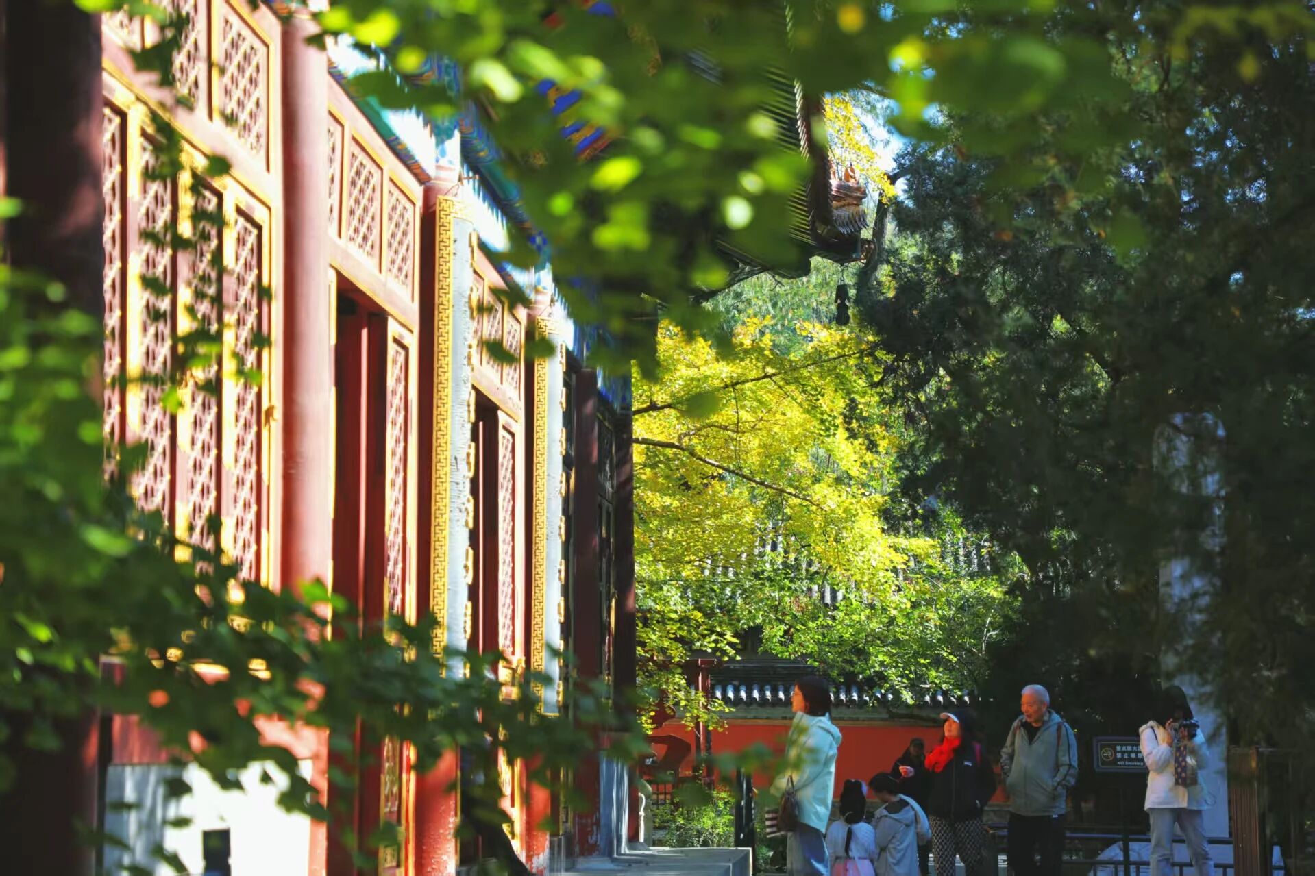 國家植物園進入彩葉最佳觀賞期