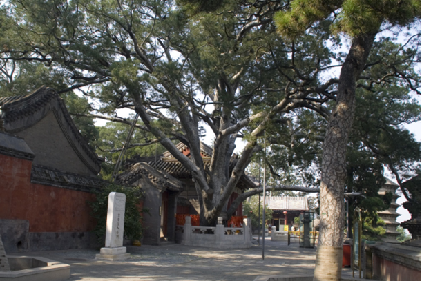 西山永定河文化帶：古寺文化