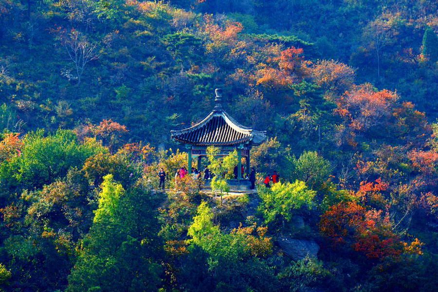 香山 靜宜園 香山 靜宜園