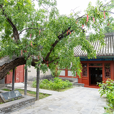 名人故事｜尋古探今文天祥