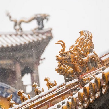 紅牆白雪——故宮冬日美學