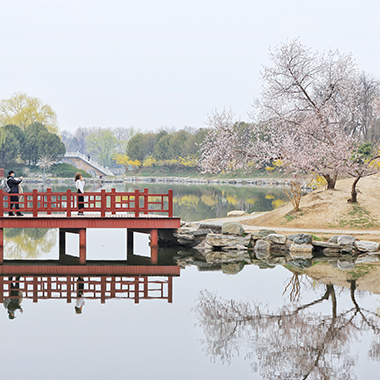 ​圓明園第二十七屆踏青節開幕
