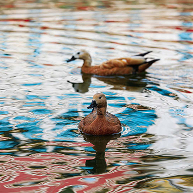 世界公園的四季