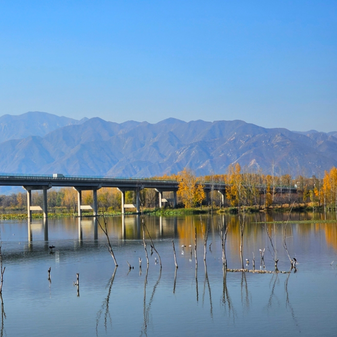 延慶區媯水河森林公園