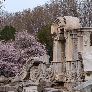 圓明園春色滿園