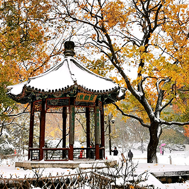 雪後地壇“拾景”