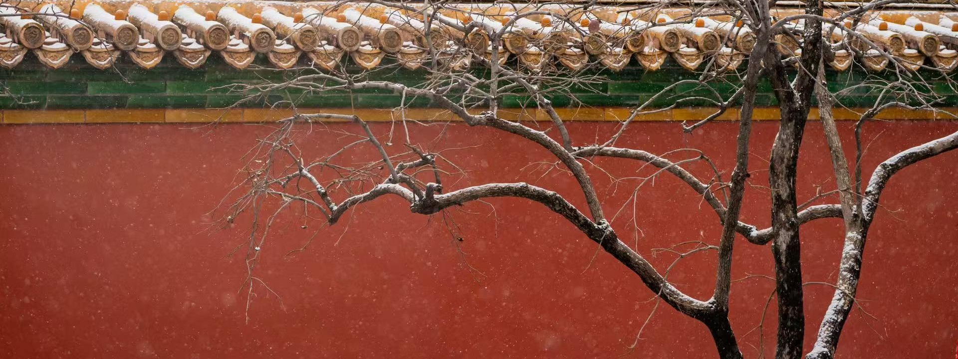 紅牆白雪——故宮冬日美學