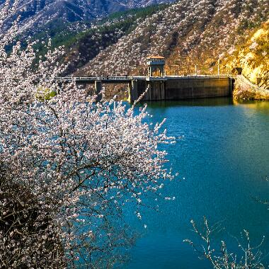 懷柔賞花季 春意正濃