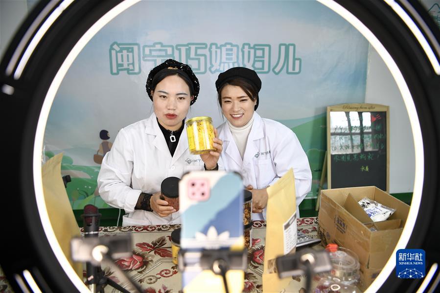 寧夏銀川市永寧縣閩寧鎮閩寧禾美電商扶貧車間員工在直播帶貨(2020年11月11日攝)。 寧夏銀川市永寧縣閩寧鎮閩寧禾美電商扶貧車間員工在直播帶貨(2020年11月11日攝)。