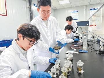 學生們正在實驗室內做研究。