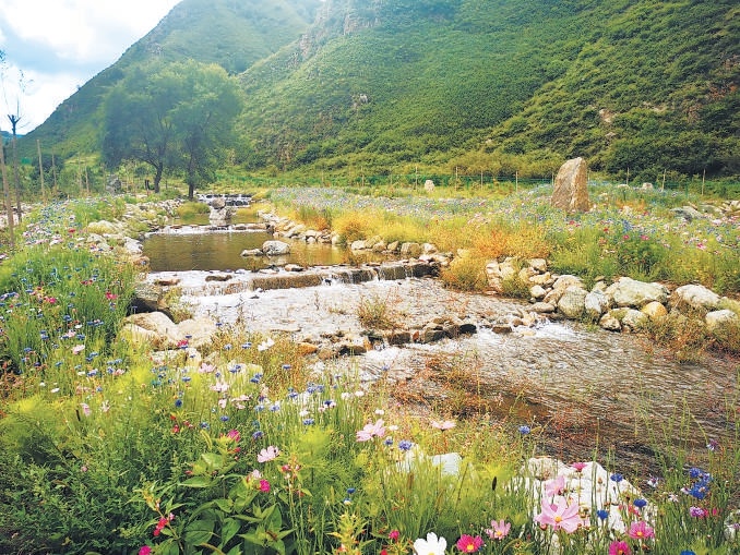 赤城縣小流域治理後，生態環境優美如畫。