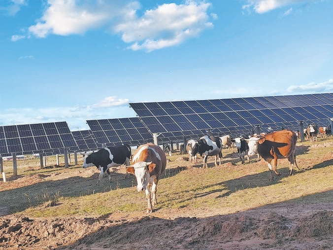 尚義縣400兆瓦牧光互補光伏項目，為當地帶來經濟和生態效益雙贏。