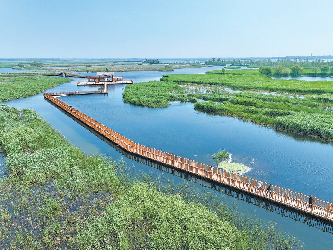 遊客在河北雄安新區白洋澱內遊覽(2024年5月8日攝)。 遊客在河北雄安新區白洋澱內遊覽(2024年5月8日攝)。