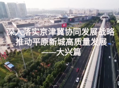深入落實京津冀協同發展戰略 推動平原新城高質量發展——大興篇