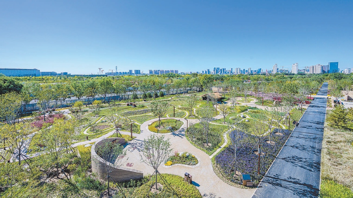 將於2025年5月對公眾開放的路縣故城遺址公園。