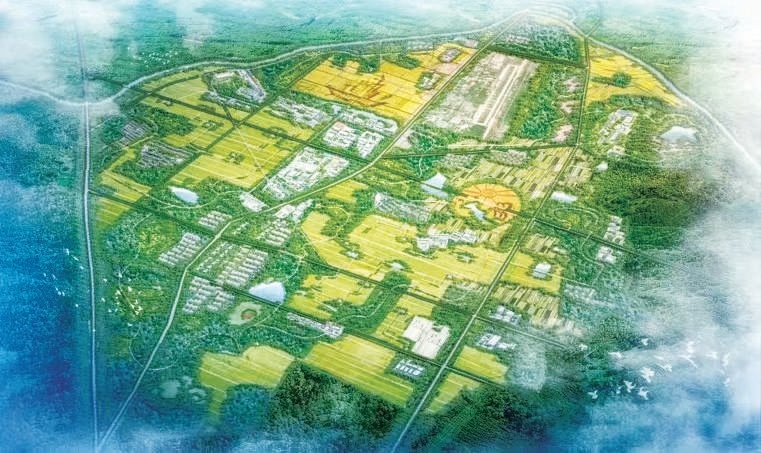 張家灣智慧護林添彩城市副中心