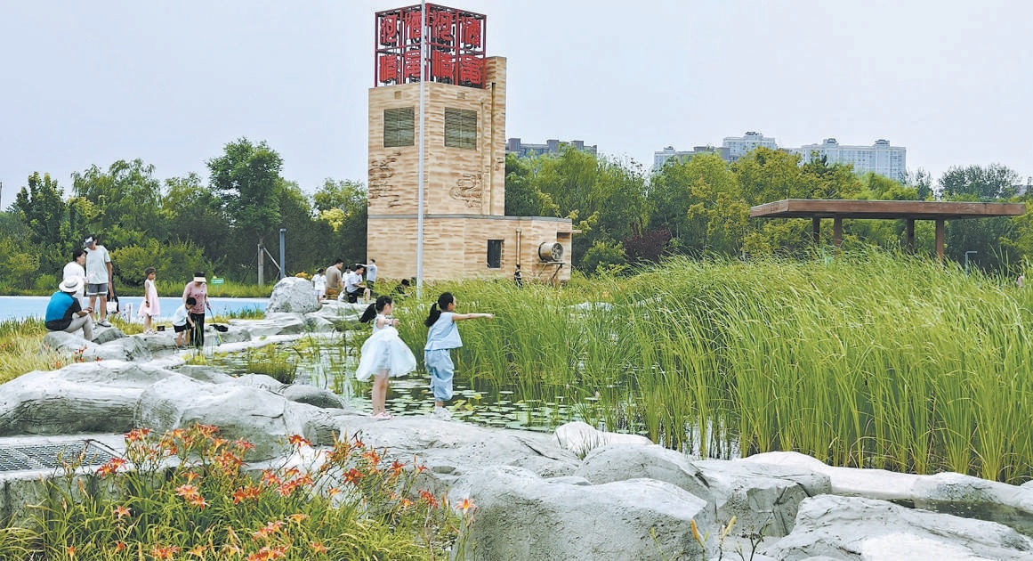 碧水公園地麵是一片濕地，地下是汙水處理廠。