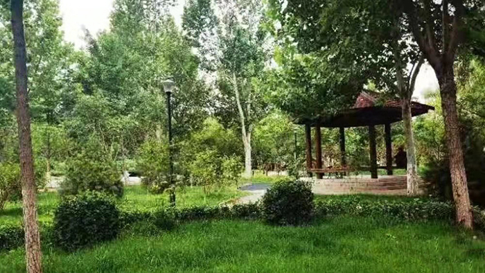 疏整促剪影丨變化天天看:留白增綠 密雲這幾處公園齊亮相 疏整促剪影丨變化天天看:留白增綠 密雲這幾處公園齊亮相