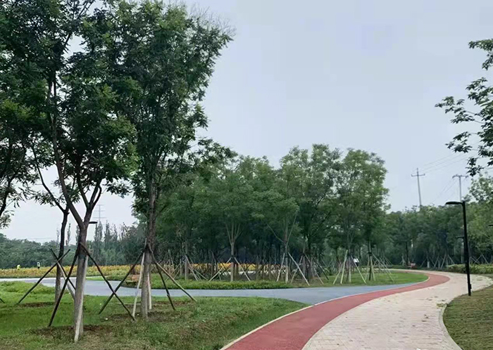 疏整促剪影丨變化天天看:長安街西延 這處公園點綴京西 疏整促剪影丨變化天天看:長安街西延 這處公園點綴京西