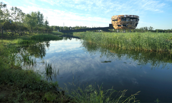 溫榆河公園 溫榆河公園