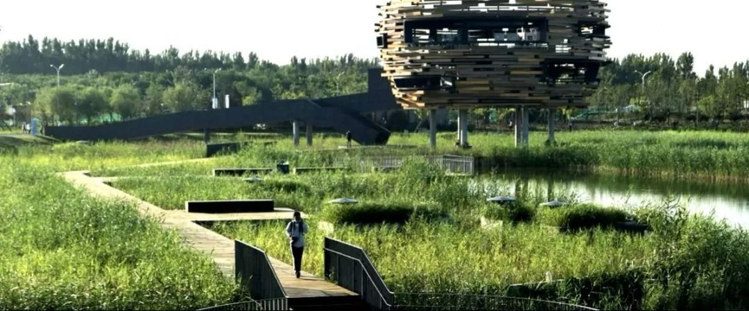 溫榆河公園美景 溫榆河公園美景