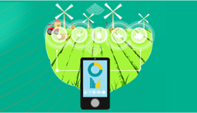 露地蔬菜無人農場