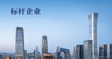 標杆企業